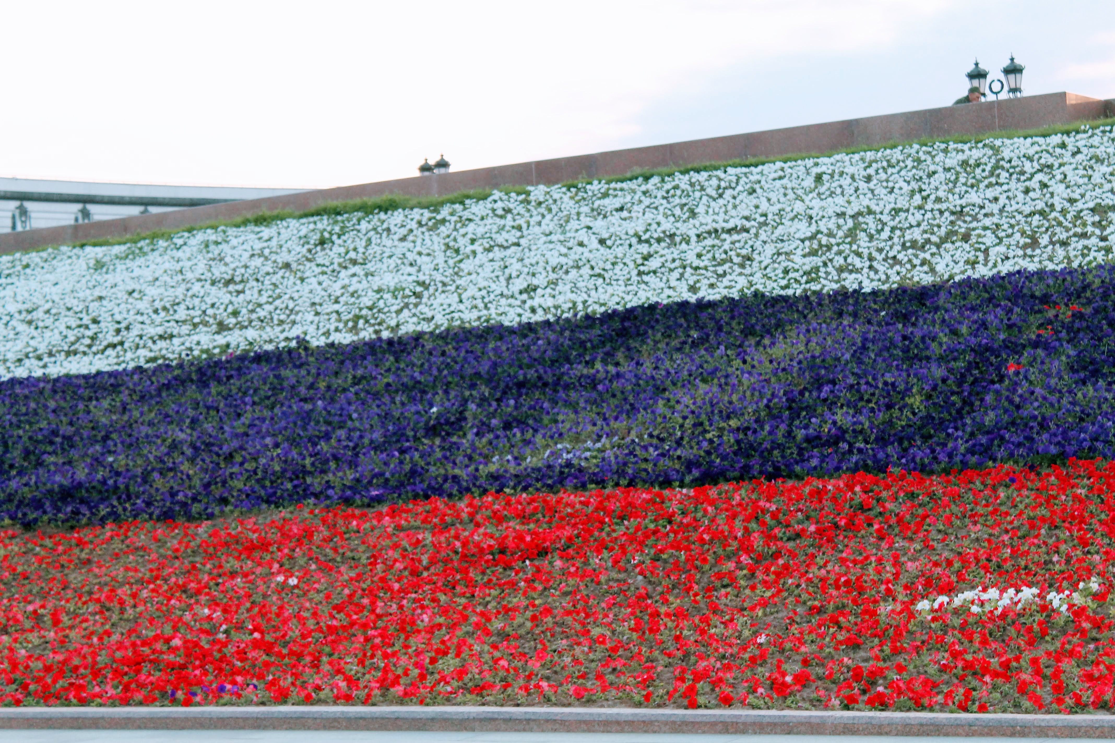 Russian flag made out of flowers